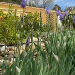 Le Petit Paradis Provencal Lägenhet Allemagne-en-Provence