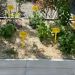 Le Petit Paradis Provencal Lägenhet *