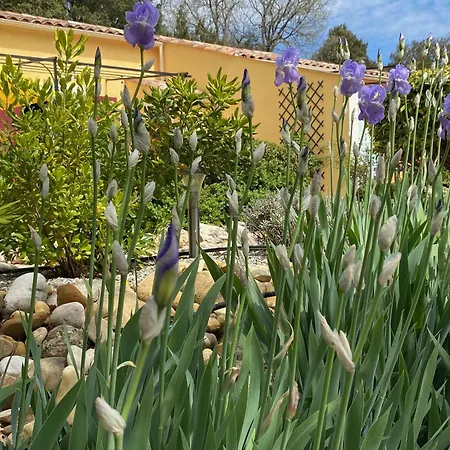 Le Petit Paradis Provencal Apartment Allemagne-en-Provence