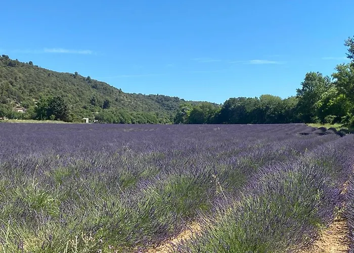 Le Petit Paradis Provencal Allemagne-en-Provence